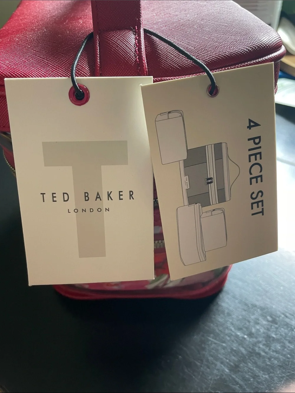 Ted Baker 4 piece Train Case Set